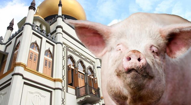 15-month prison sentence for person who sent pork to mosques