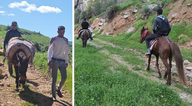 يخرجون في الصباح مع أذان الفجر، ويقطعون ثلاث ساعات مع البغال لجمع المحصول