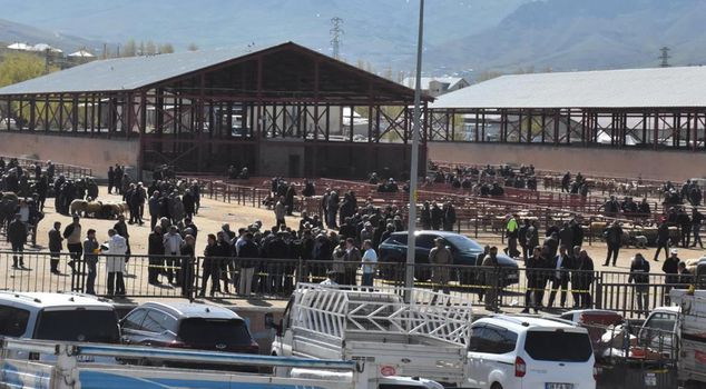 Armed fight at animal market! 1 dead, 13 injured