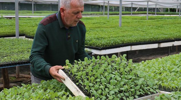 Two retirees started as a hobby, now they're minting money
