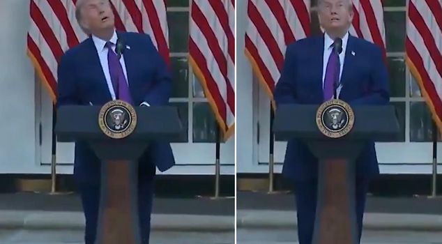 Trump's moments of fear! He panicked when he mistook a bird for a drone.