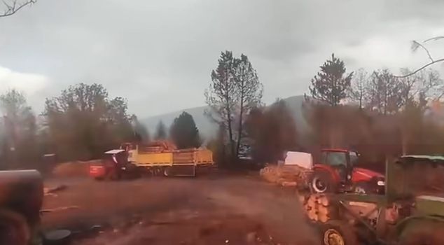 Lightning struck near forest workers; the moment captured on camera