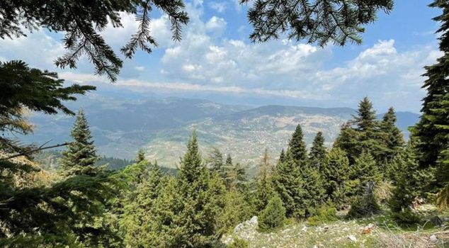 Entry to forest areas in Mersin has been banned until October 30.