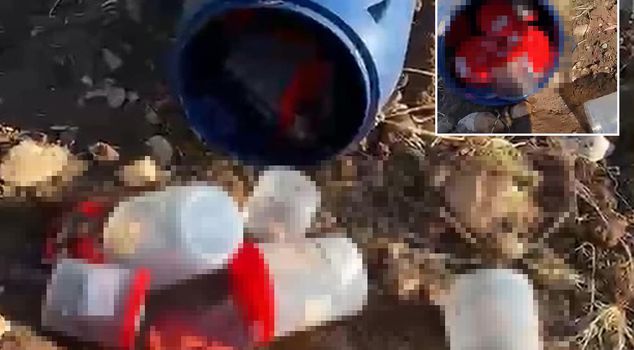 В Шанлыурфе на кладбище в пластиковой бочке найдены 21 человеческий зародыш