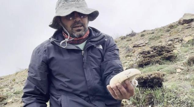 The caşır mushroom, growing at an altitude of 2,000 meters, competes with gold.