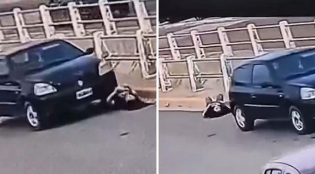 He opened the hood and experienced horror! He was trapped under his vehicle while checking the battery!