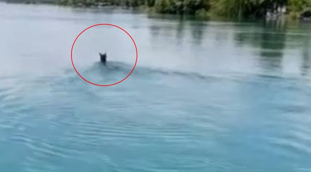 Those who saw it in the middle of the Euphrates River could not believe their eyes.