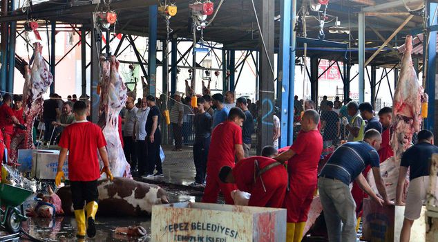Do not do these things while sacrificing an animal! It has a fine of 30 thousand liras.