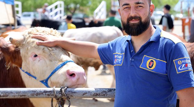 A cow priced like a car in Kırşehir: 830-kilogram animal sold for 300 thousand TL.