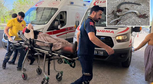 He opened fire on the snake stuck in the drain hole, shot those outside the house: 5 injured