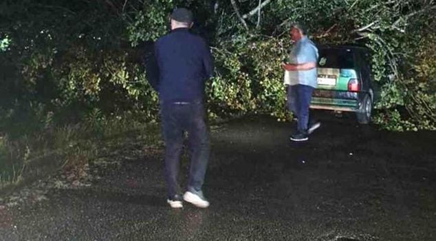 Severe storm in Bartın: Trees fell on cars