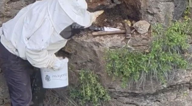 A shepherd accidentally found natural honey worth a treasure in a rock crevice.