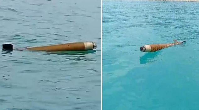 Frightening object off the Black Sea coast: Teams have cordoned off the area