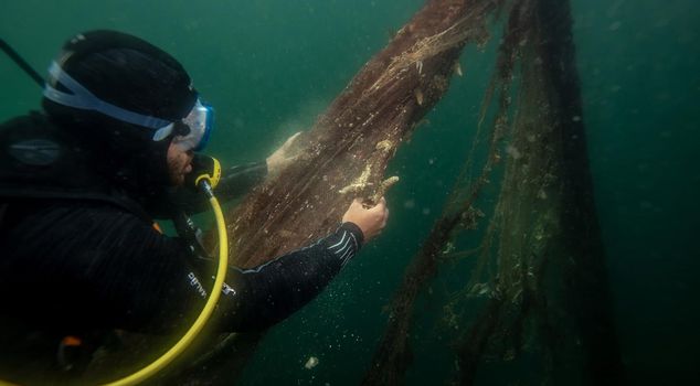 Pulled from the depths of the Marmara! Its size is enough to cover Çamlıca Tower