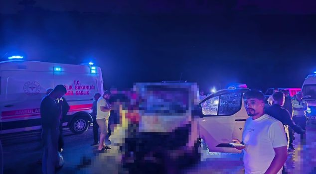Minibus hits horse on road; 1 dead, 2 injured
