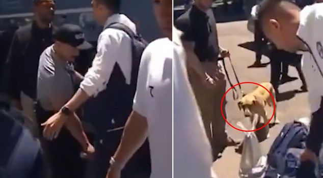 Historic scandal before the World Cup! They searched the National Team with narcotic dogs