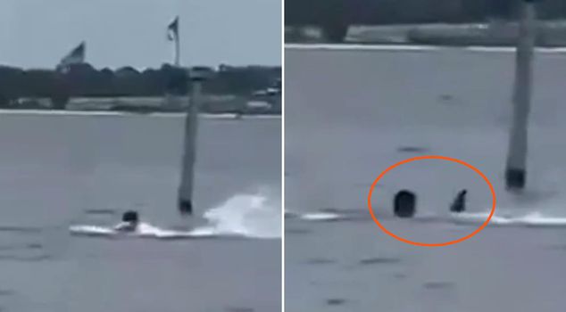 Во время обеденного перерыва персонал ВМС зашёл в море и подвергся нападению акулы