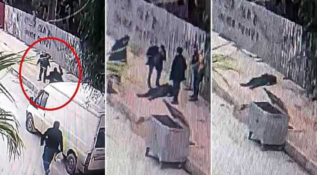 Verdict of acquittal in the murder case involving a paving stone.