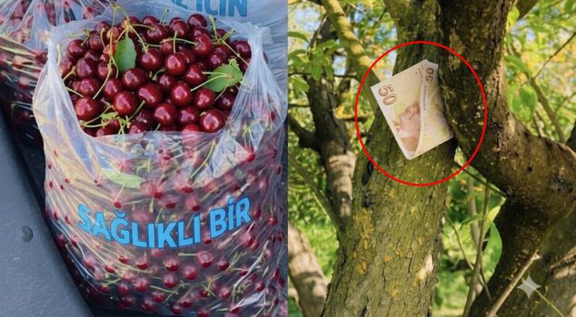 Правда о скандальной фотографии вышла наружу.