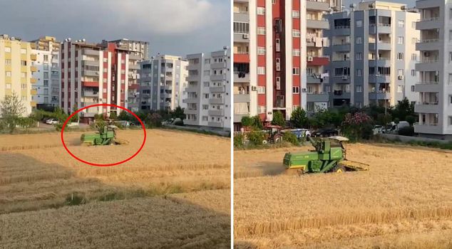 Урожай в тени многоэтажек! Застройщикам, желающим получить его землю, он отвечает одной фразой