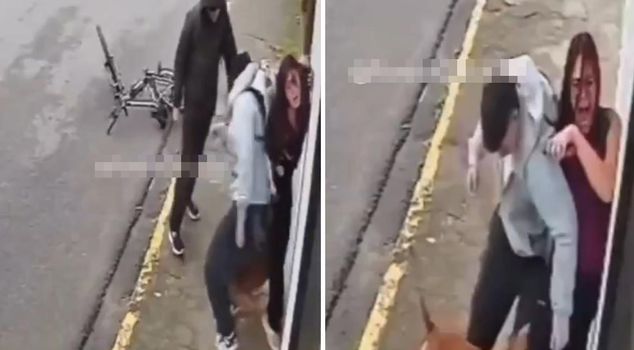 The young woman was attacked by a pitbull dog.