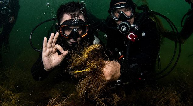 Minister Kurum dived into the Gulf of Izmit, saw the result firsthand.