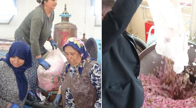 Isparta's pink treasure! It finds buyers at 650 thousand liras per kilo