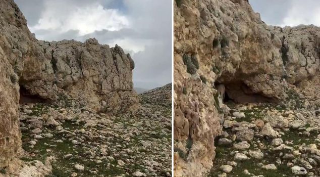 لم يصدق ما رآه في الكهف حيث وجد ماعزه الضائعة