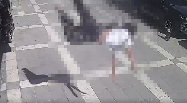 He fell from the 2nd floor while tending to pigeons; the moment was captured on camera.