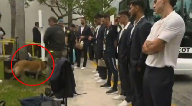 مشهد مثير في كأس العالم! تم تفتيش نجوم أوروغواي مع الكلاب