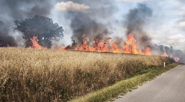 Sparks flying from a spiral machine burned 150 decares of wheat fields and 50 decares of woodland.