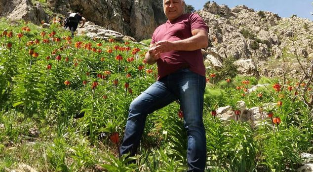 Found dead on the mountain while out gathering mushrooms