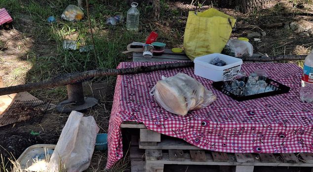 He stabbed and killed his wife, whom he argued with during a picnic.