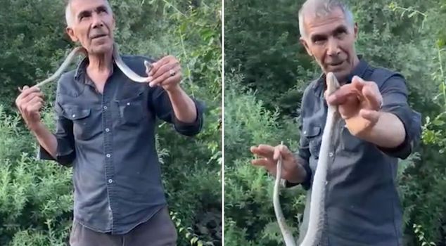 He literally danced with death! He wrapped a venomous viper around his neck.