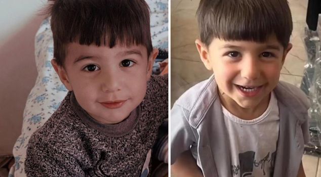 Investigation permit for the mayor in the dog attack that killed 5-year-old Hamza