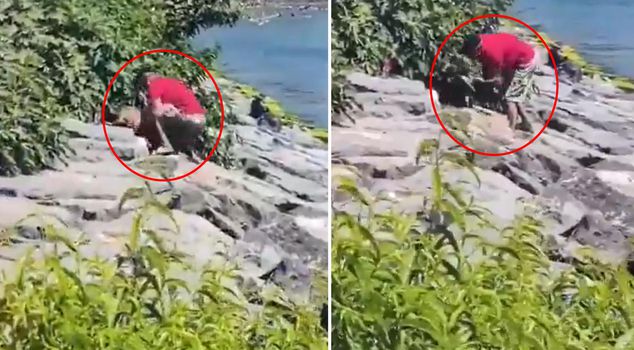 The person who subjected a dog to violence on the Avcılar coast has been taken into custody.