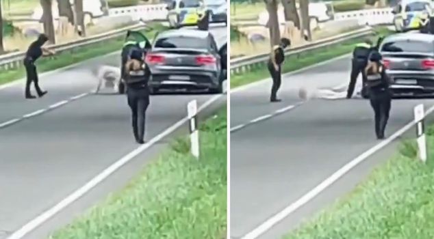 The perpetrator of the armed attack in Germany that killed 6 people is of Turkish origin.
