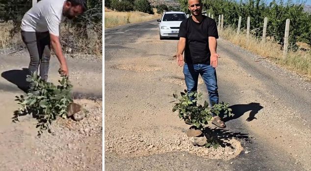 The potholes have exhausted the people! They planted a tree in the middle of the road to make their voices heard.