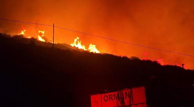 Fire in a maquis area in Izmir