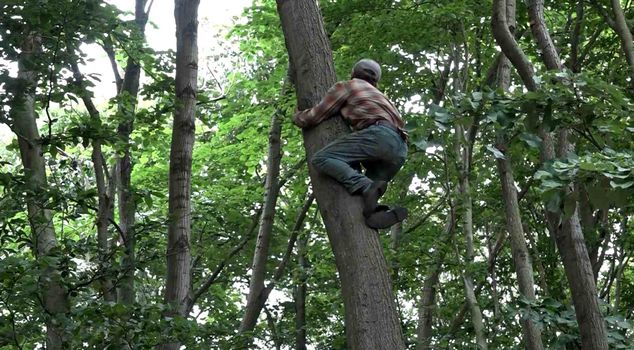 Everyone was looking for him as missing... It turned out he fell from the tree he had climbed to gather linden blossoms.