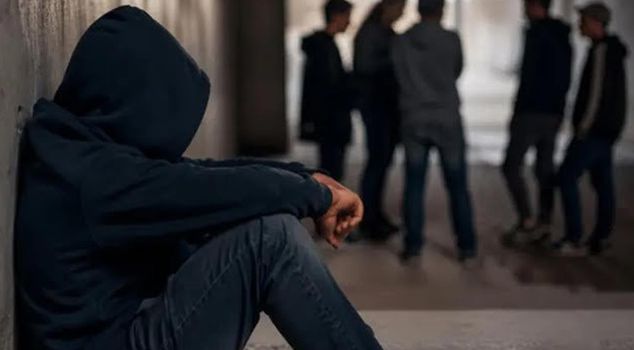 The first two articles of the regulation on children dragged into crime were adopted.