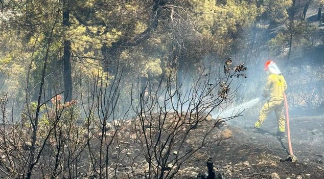 Fire disaster in Balıkesir! It was prevented from reaching the forested area at the last moment.