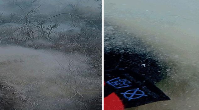 The cause of the cotton-like layer in Lake Sapanca has been revealed.