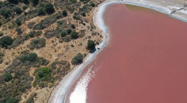 One of the world's few miracles: A 2,000-year-old ancient port turned pink.