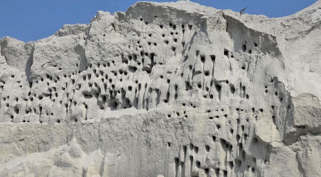 The sand pile at the construction site is home to swallows.