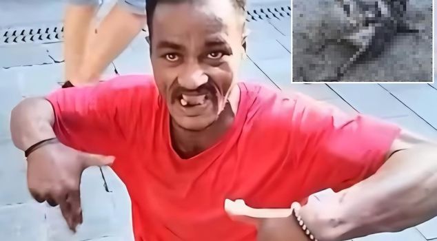 Ужас в Ускюдаре! Преступник с выкидным ножом тяжело ранил чайку