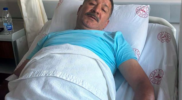 Змея напала на ногу мужчины, спустившегося в сад.