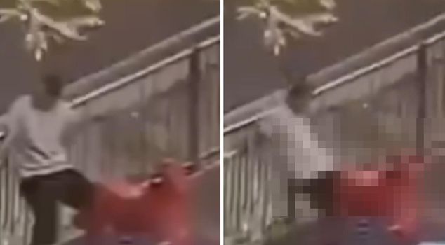 The unbelievable scandal displayed in the children's park was met with a storm of reaction on social media.