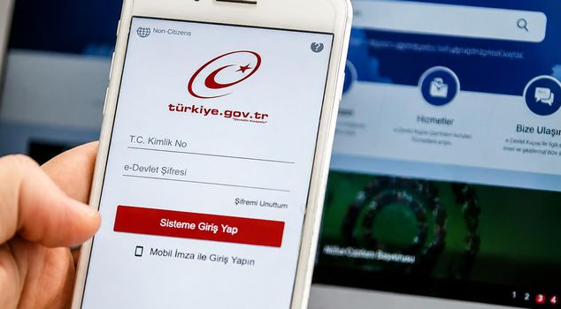 A rush to e-Devlet! Millions of people are using the same service.