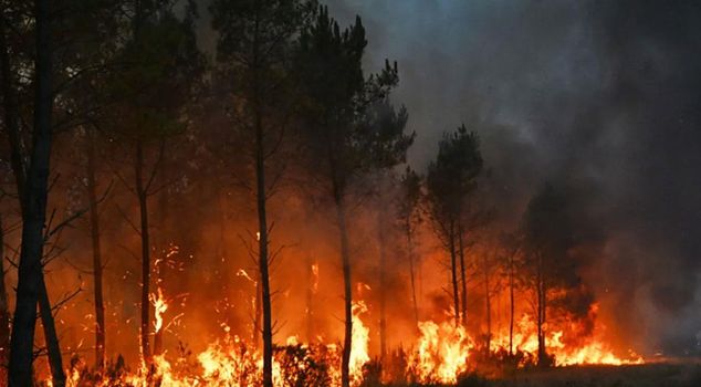 A helping hand from Turkey to France, which is experiencing hell.